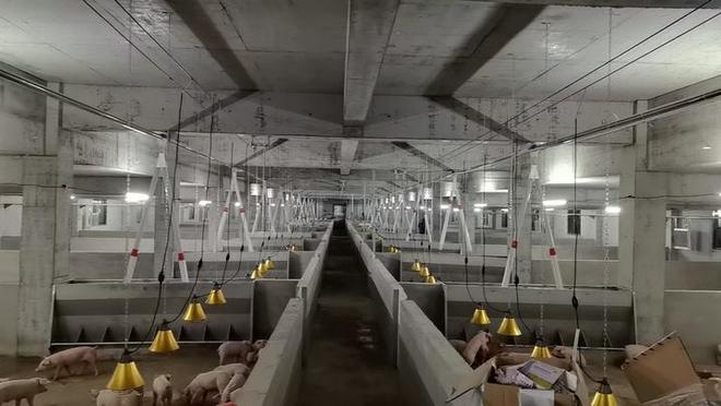 开阳县宅吉乡：构建生猪养殖全链条做好农业增收大文章