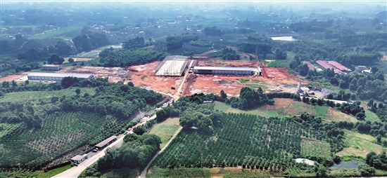 以项目为引领构建现代化畜牧产业生ag凯发态