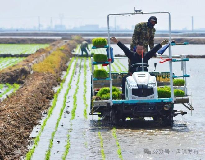 凯发国际“慧”种地引领盘锦春耕新潮流(图3)