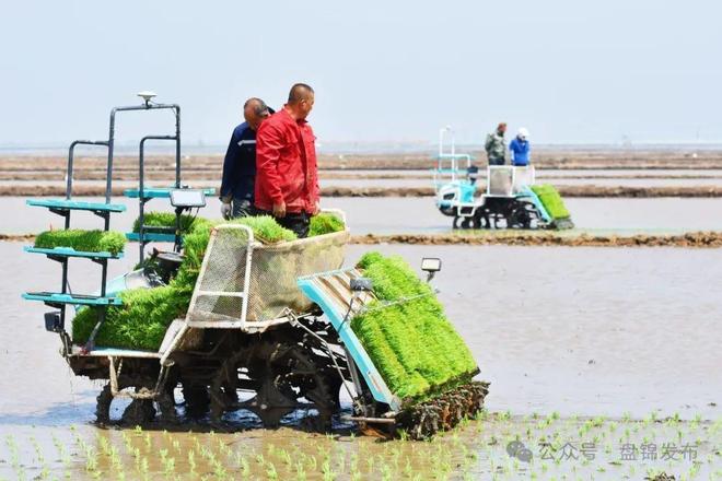 凯发国际“慧”种地引领盘锦春耕新潮流(图2)