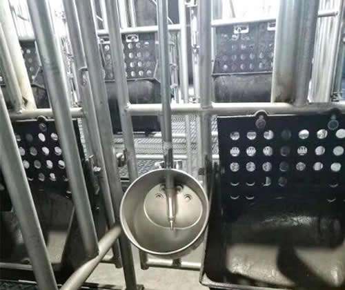 自动喂猪设备有哪些？(图2)