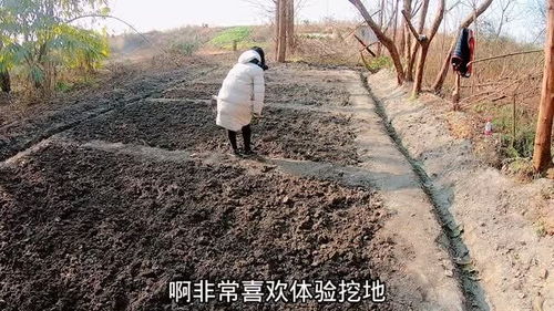 ag凯发荒地可以干什么