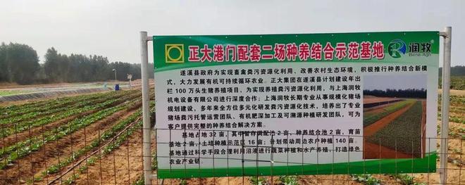 【养猪行业】浅谈种养结合养猪发展模式(图3)
