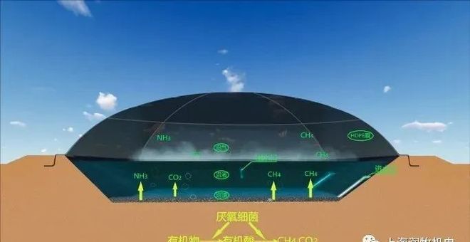 【养猪行业】浅谈种养结合养猪发展模式(图2)