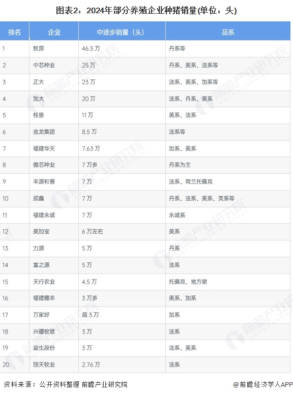 2025年中国生猪养殖行业上游种猪育种市场分析2024年TOP种猪企业合计超5万头【组图】(图2)