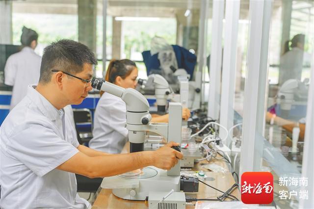 海垦草畜集团强化产学研联动健全高端肉牛良种繁育体系(图2)