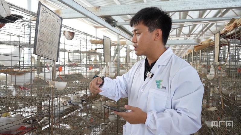 高质量发展看中国｜解码“兴宁鸽”⑥智慧领航构筑产业新峰