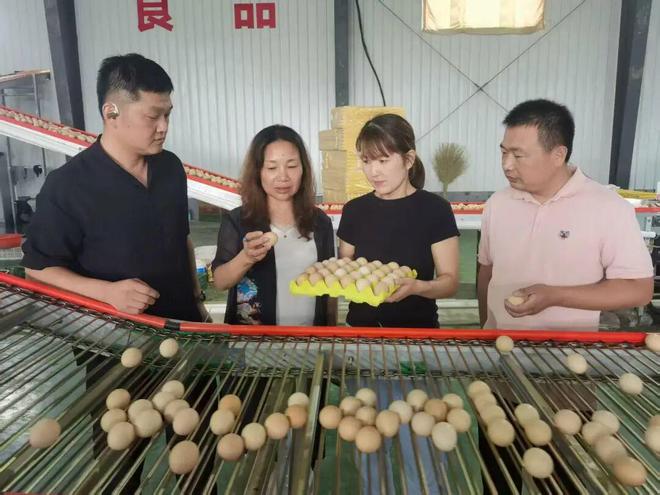 走进千村万企｜走进利民农牧绘就鸡蛋品牌化发ag凯发展新蓝图