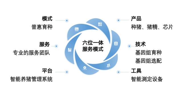 “凯发旗舰厅普惠育种”模式升级20：低成本、易落地让中小猪场实现自主改良种群、提升遗传性能(图3)