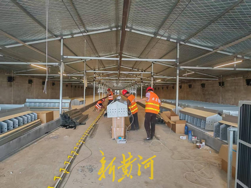 ag凯发新黄河刊发《潍坊高密：以项目建设撬动畜牧业全链升级(图2)