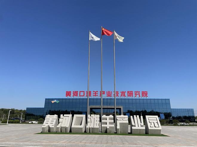 走向ag凯发深蓝丨黄河口滩羊的“共富三级跳”
