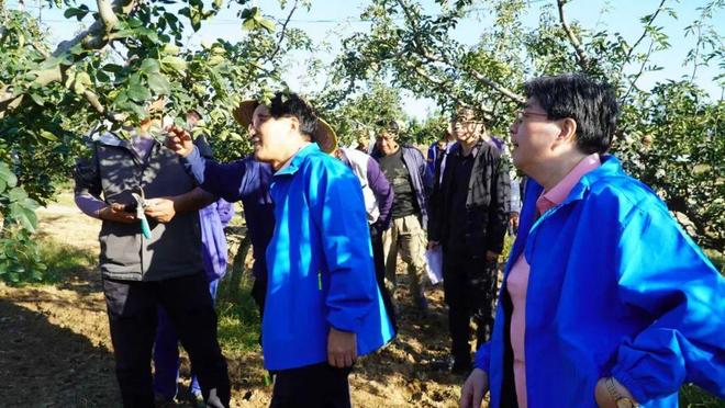 铜川：送技助农解民忧精准服务添动能(图3)