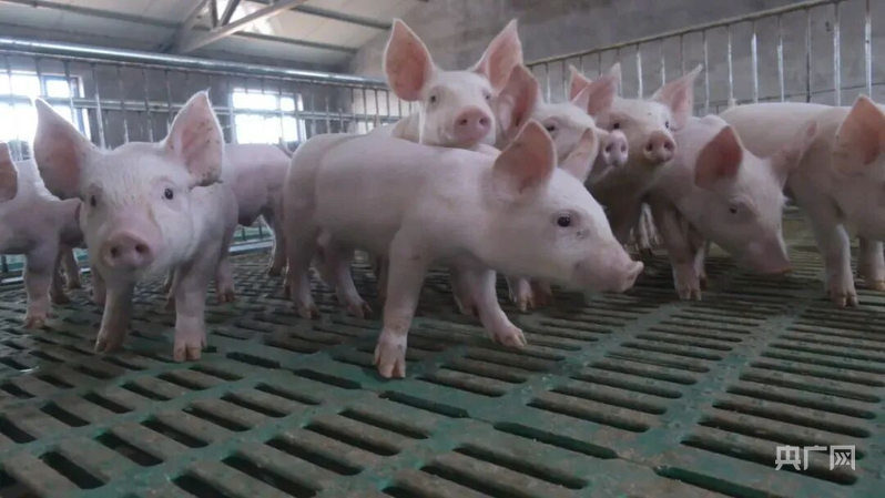 绘就“三农”新画卷奏响乡村ag凯发振兴丰收曲