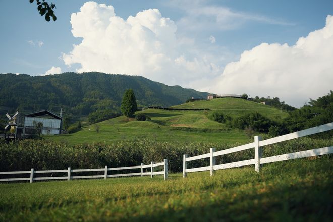 甜满中国·温州站高山牧场的醇香奥秘(图2)
