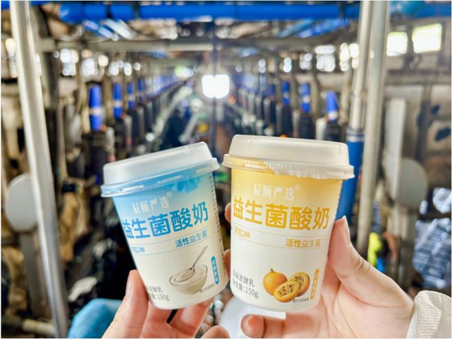 甜满中国·温州站高山牧场的醇香奥秘(图4)