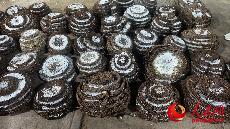 ag凯发人民直击｜云南胡蜂养殖调查：监管缺位亟待规范(图3)