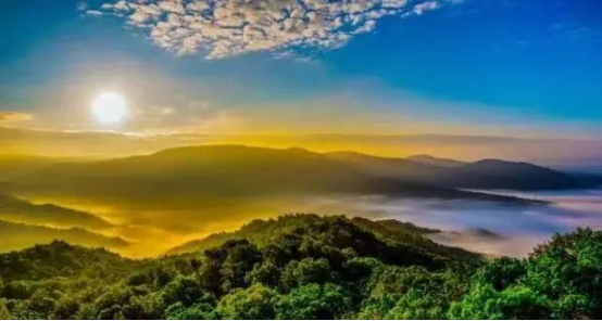 总投资25亿！牡丹江这个项目“牛劲十足”！首批2000头高端肉牛即将入驻→