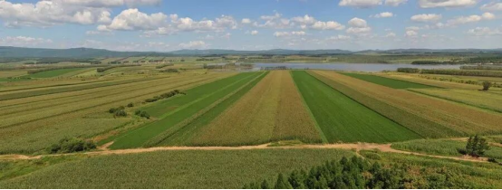 总投资25亿！牡丹江这个项目“牛劲十足”！首批2000头高端肉牛即将入驻→(图2)