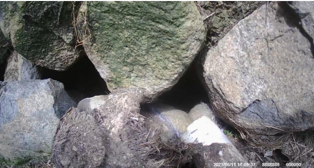 以案释法丨平和县某畜牧养殖场违法排放水污染物案