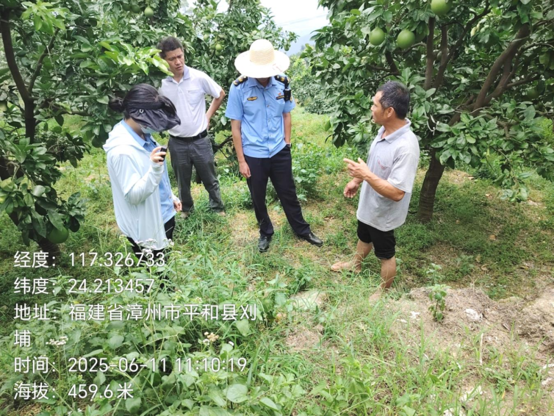 以案释法丨平和县某畜牧养殖场违法排放水污染物案(图2)