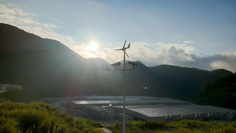 贵州桐梓：“五化”模式实现“养猪-制肥-种植”良性循环