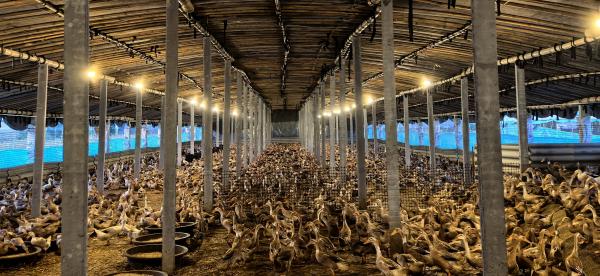 谭店乡：产业奔涌势如虹乡村振兴绘新卷