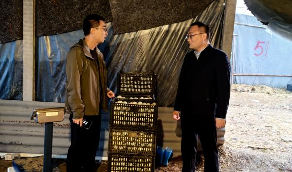 谭店乡：产业奔涌势如虹乡村振兴绘新卷(图3)