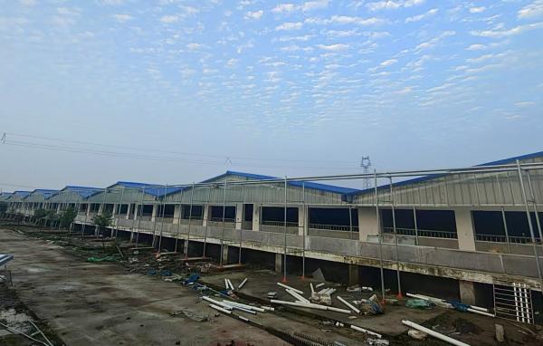 谭店乡：产业奔涌势如虹乡村振兴绘新卷(图6)