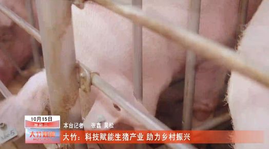 大竹：科技赋能生猪产业助力乡村振兴