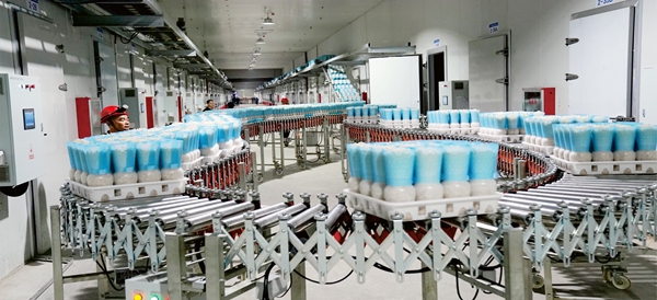 贵港市港北区：设施农业奏响乡村振兴协奏曲(图2)