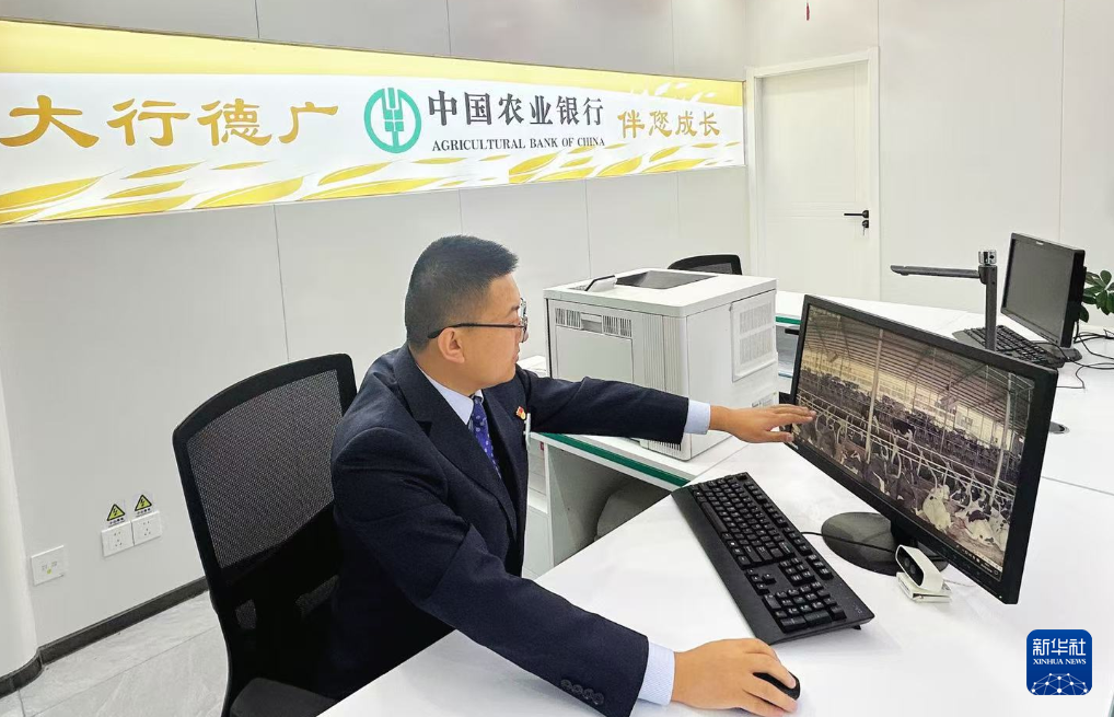 甘肃古浪：科技赋能信贷护航奶业发展-新华网(图3)