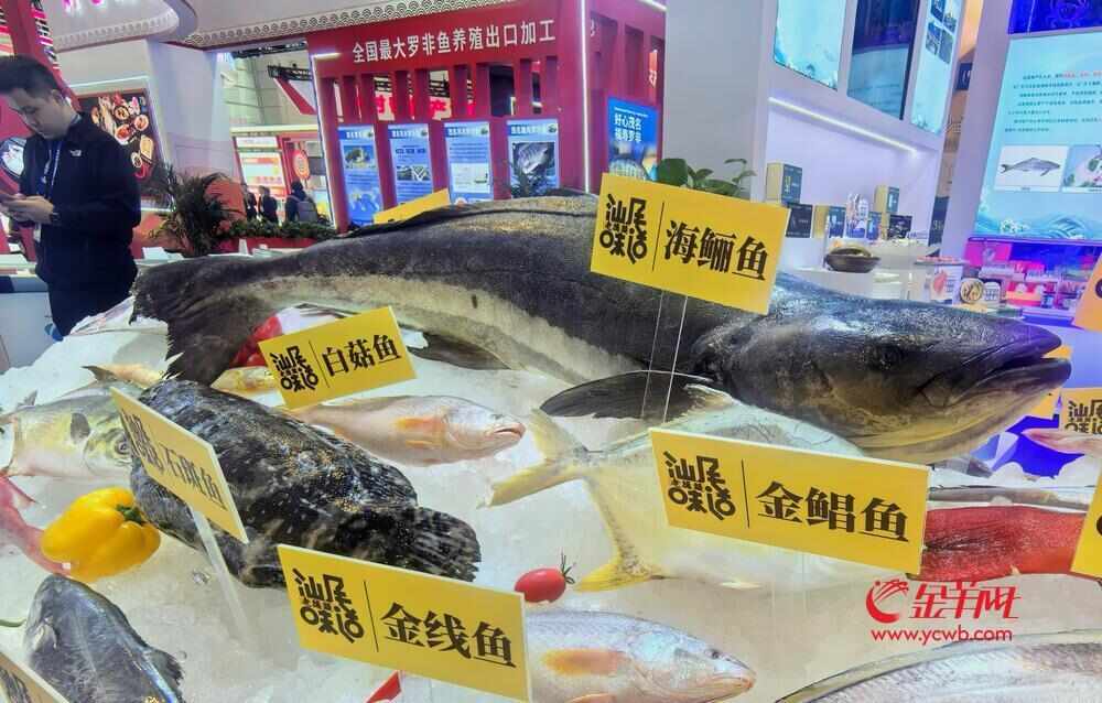 寻味探展农交会上谁在领“鲜”？(图4)