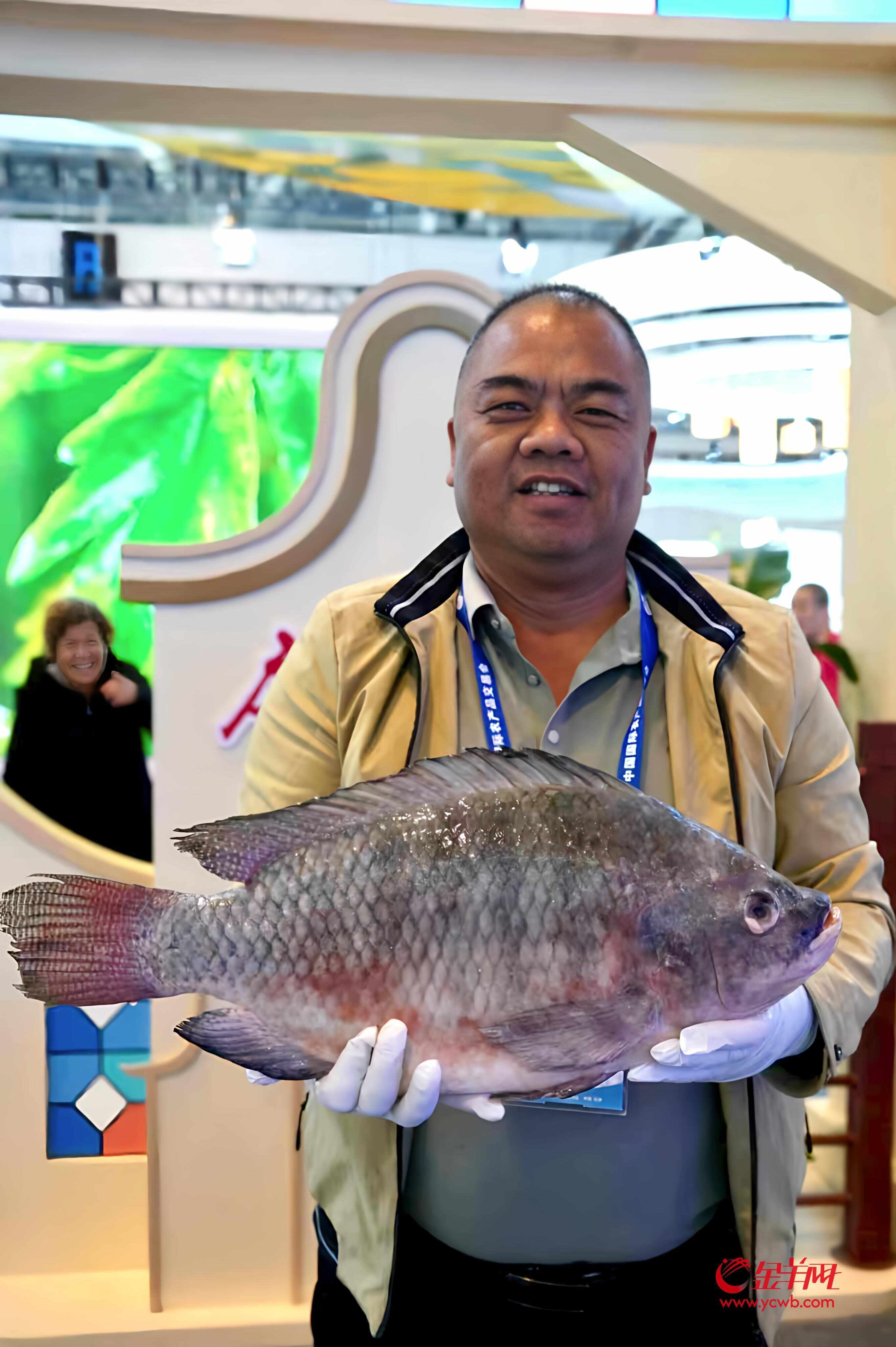 寻味探展农交会上谁在领“鲜”？(图6)