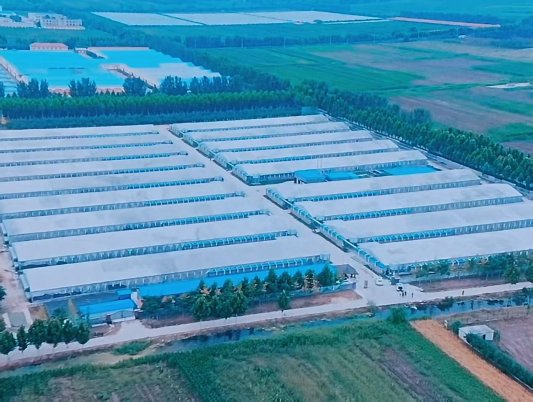 畜牧减抗丨“危机感”下的自我凯发旗舰厅改变(图4)