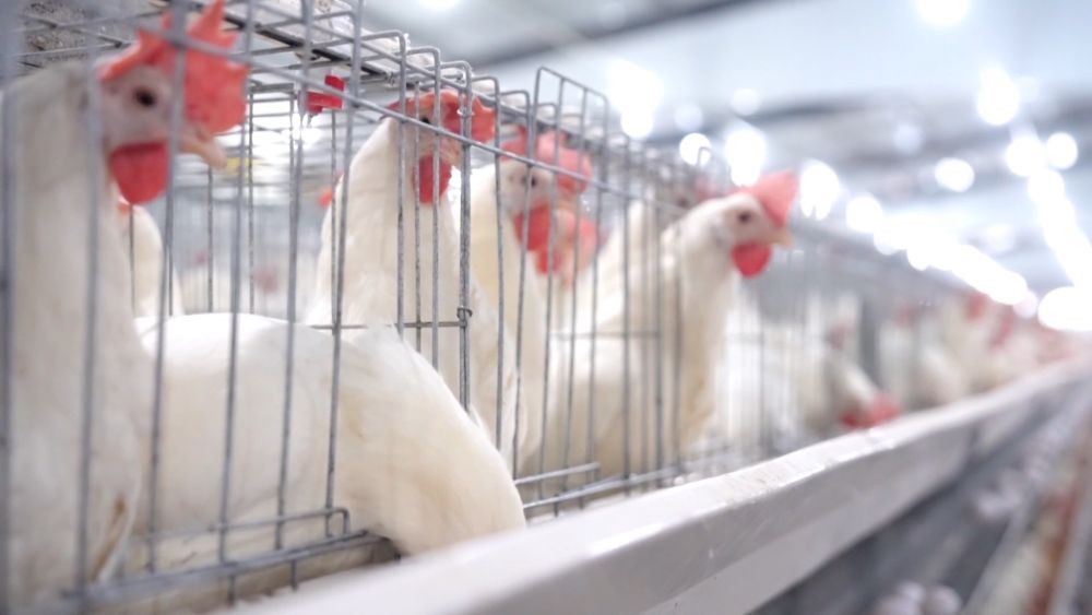 创新潮涌逐浪高——以创新驱动引领高质量发展一线见闻(图6)