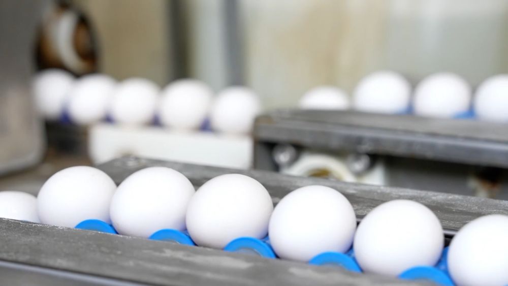 创新潮涌逐浪高——以创新驱动引领高质量发展一线见闻(图5)