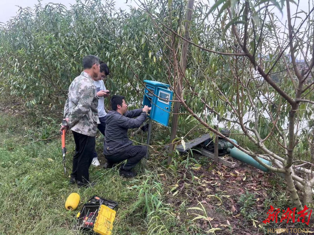 中华财险新田支公司“5G云鱼塘”项目落地科技赋能水产养殖转型升级(图3)