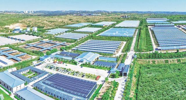 榆林市榆阳区全链升级激活畜牧动能——牛羊经济提质增效产业振兴绘新景