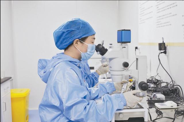 榆林市榆阳区全链升级激活畜牧动能——牛羊经济提质增效产业振兴绘新景(图7)