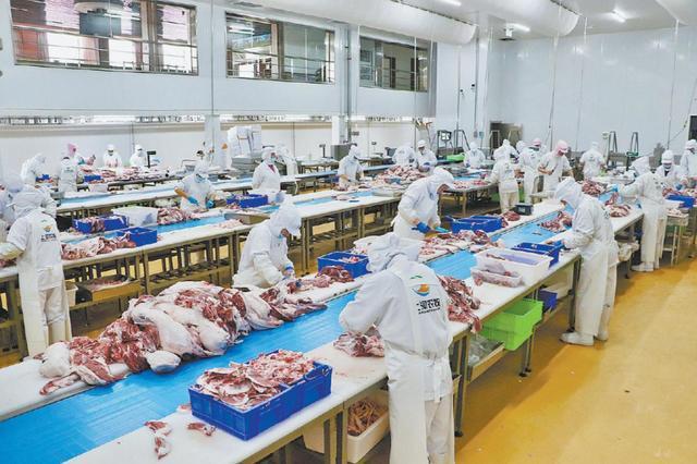 榆林市榆阳区全链升级激活畜牧动能——牛羊经济提质增效产业振兴绘新景(图6)