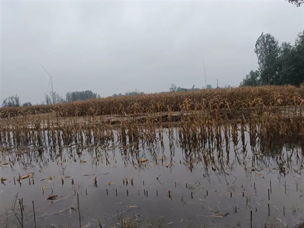 黄淮地区为何成旱涝急转重灾区