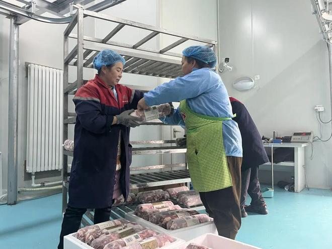 中国式现代化・榆林实践横山：积极推进羊产业全链条发展激活富民新动能(图5)