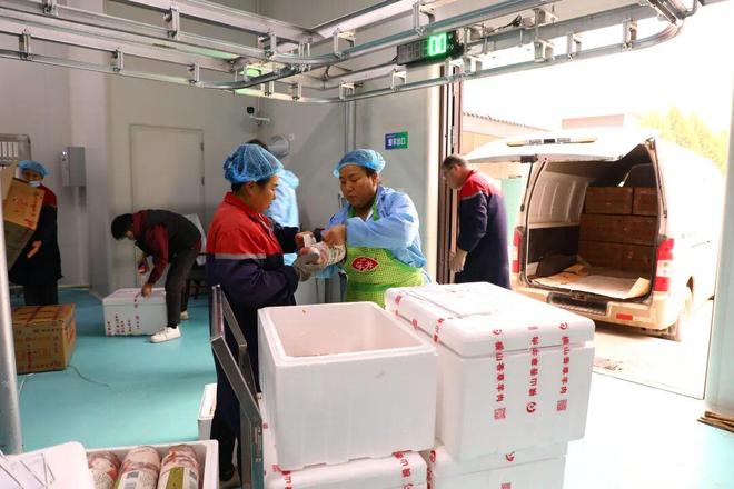 中国式现代化・榆林实践横山：积极推进羊产业全链条发展激活富民新动能(图6)