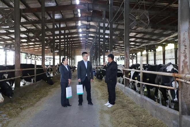 农行临沂分行：政银担协同发力为畜牧养殖注入金融活水ag凯发