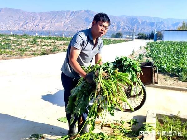 青海讴赅瑞养殖有限公司：发展生态猪养殖带领村民走上致富路(图3)