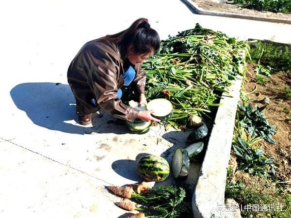 青海讴赅瑞养殖有限公司：发展生态猪养殖带领村民走上致富路(图4)