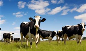 ag凯发行业经济_中研普华行业研究网(图9)