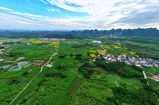 广西人工智能推动智慧农业发展