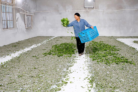 广西人工智能推动智慧农业发展(图2)