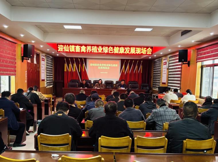 临泉县迎仙镇：正反案例“现场教学”促畜禽养殖绿色健康发展凯发国际(图2)